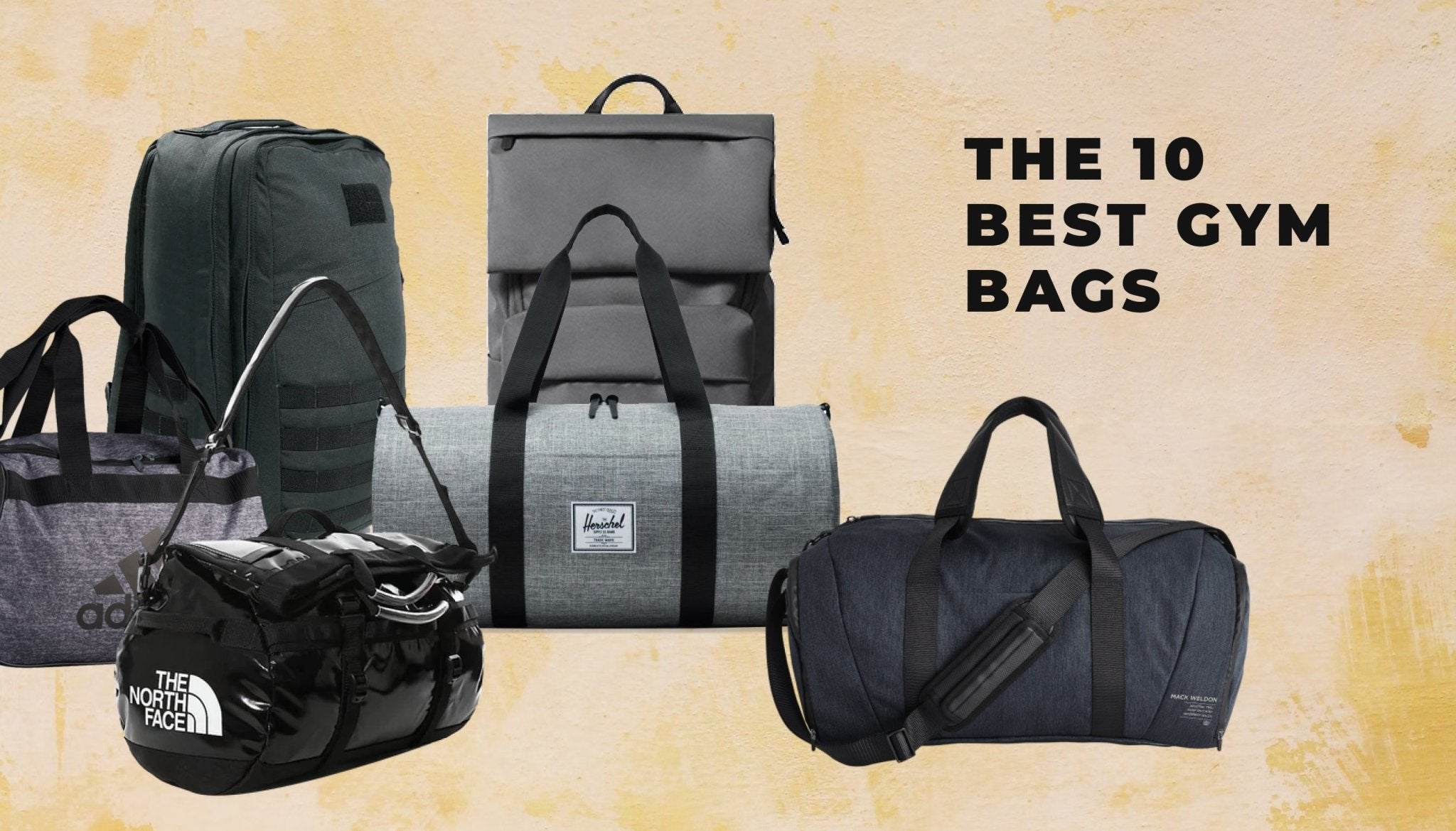 The 10 Best Gym Bags - Elegatto