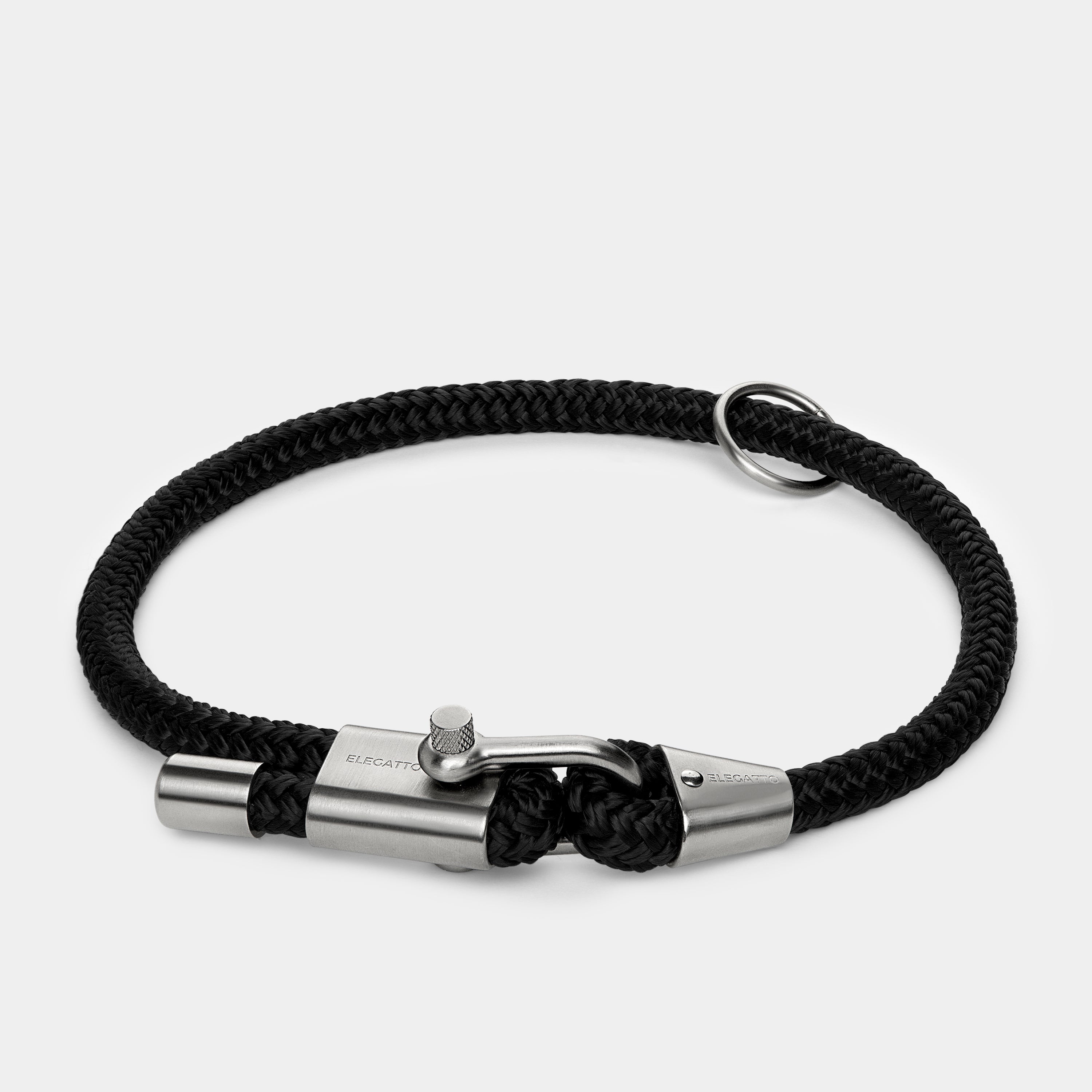 Dog Collar & Leash